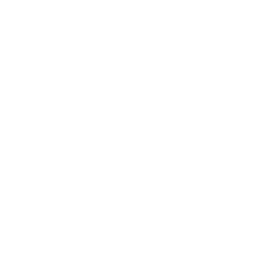 fv